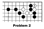 Problem 2